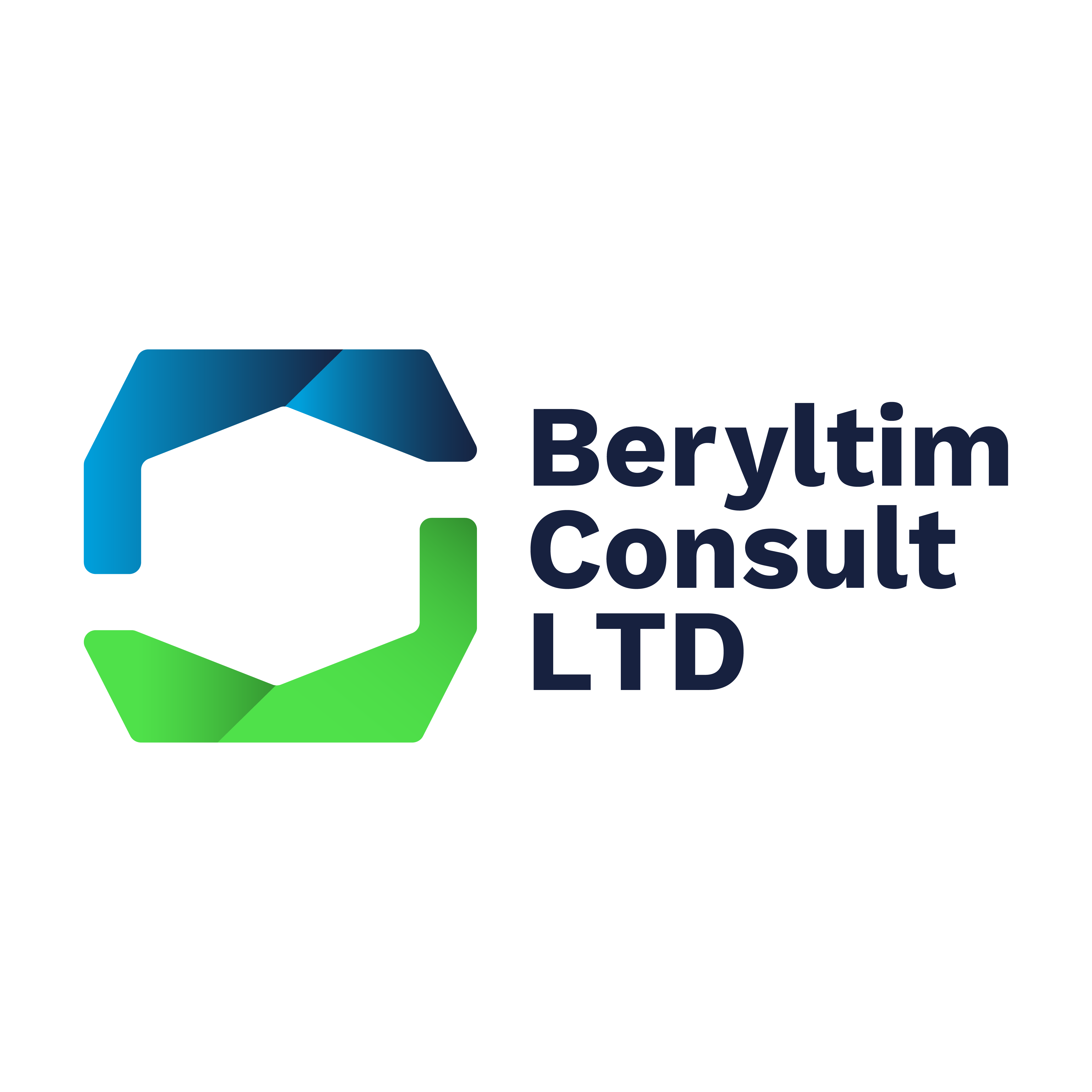 Beryltim Logo
